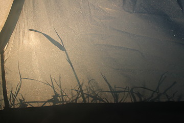 Image showing inside the tent