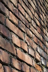 Image showing brick wall texture