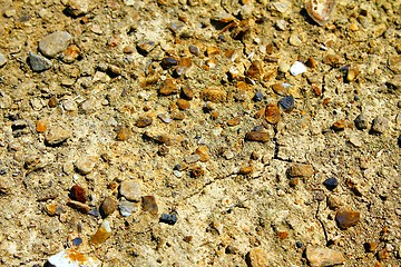 Image showing dry ground texture