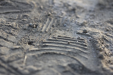 Image showing tracks in the dirt