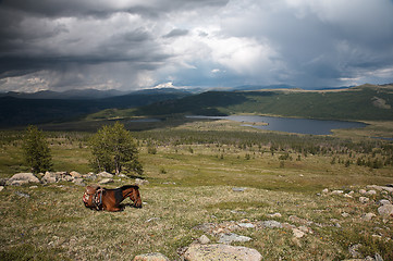 Image showing Horse in Sayan mountains