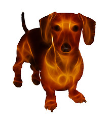 Image showing Isolated Golden Neon Glow Image of Miniature Dachshund