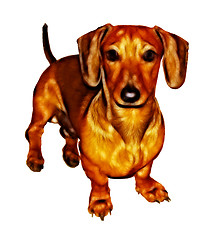 Image showing Isolated Crayon Drawing Painting of Miniature Dachshund