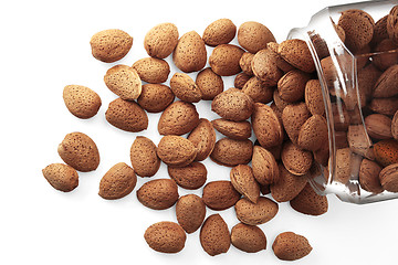 Image showing Almonds