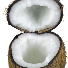 Image showing coconut