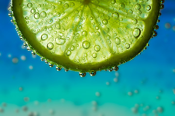 Image showing lime in the water