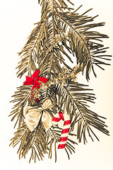 Image showing Christmas branch 