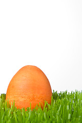 Image showing easter egg in grass