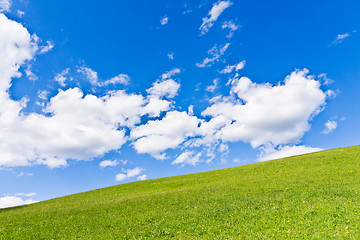 Image showing green field