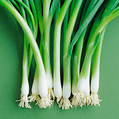 Image showing young onion