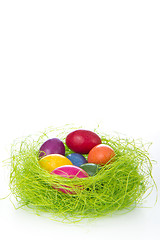 Image showing easter eggs in nest