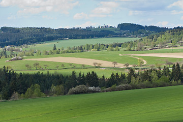 Image showing green field