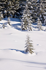 Image showing fresh snow in the mountains