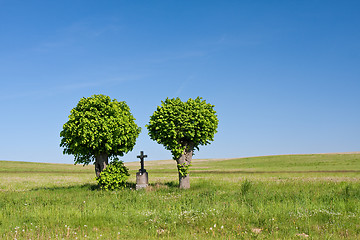 Image showing cross in the field