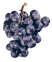 Image showing grapes