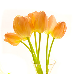 Image showing bunch of tulips