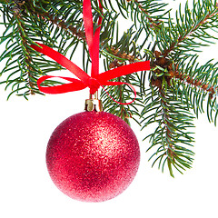 Image showing red christmas ball hanging from tree