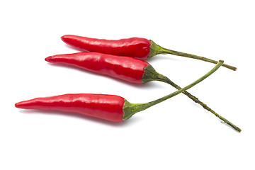 Image showing Red Chilli 