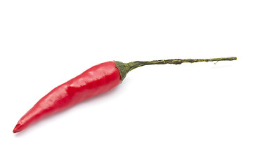 Image showing Red Chilli