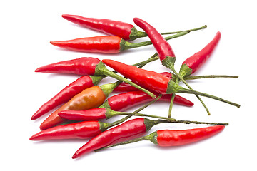 Image showing Red Chilli