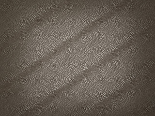 Image showing Alligator skin with stripes: useful as background or texture