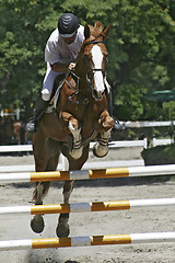 Image showing Rider and horse