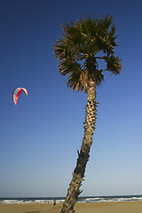 Image showing Kite Surf