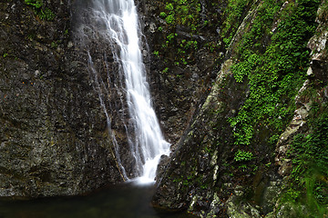 Image showing waterfall in forest