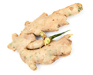 Image showing ginger