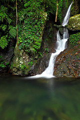 Image showing Waterfall in forest