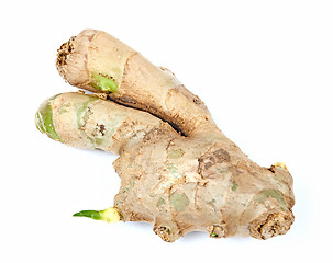 Image showing ginger