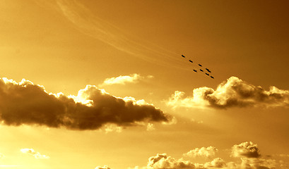 Image showing Synchronized team flight- flying in formations