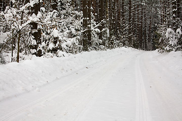 Image showing Road to wood (winter)