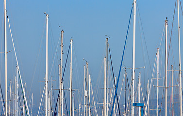 Image showing sailboat masts in a marina