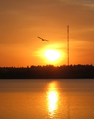 Image showing sunset