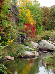 Image showing autumn