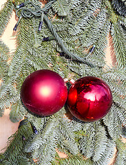 Image showing Cristmas tree branch imitation and red toys pair.