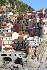 Image showing  Italy. Cinque Terre. Manarola village 