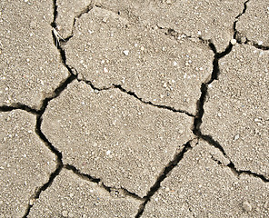 Image showing Crack soil texture as ecocatastrophe background 