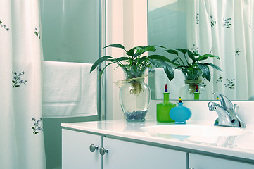 Image showing bathroom with plant