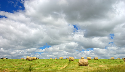 Image showing Hay field