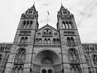 Image showing Natural History Museum, London, UK