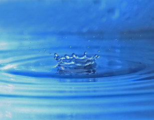 Image showing crown in water
