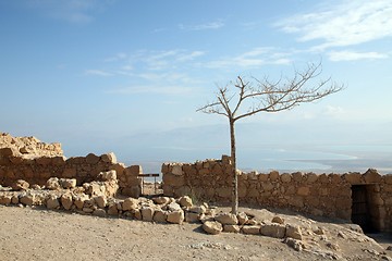 Image showing Masada fortress, Israel