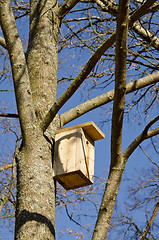 Image showing Nesting-box for bird nailed hanging on tree branch