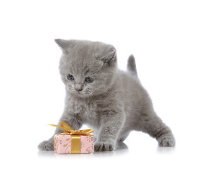 Image showing kitten and gift box