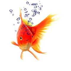 Image showing goldfish and bubbles