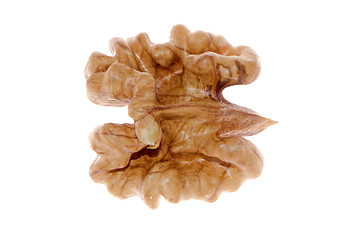 Image showing Unshelled nut