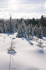 Image showing fresh snow in the mountains