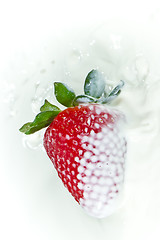 Image showing strawberry splashing into milk